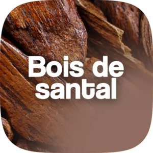 BoisDeSantalParfum