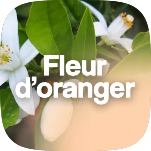 FleurDOrangerParfum