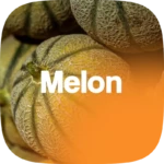MelonParfum