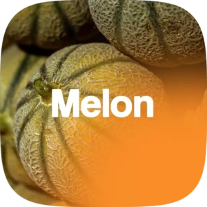 MelonParfum
