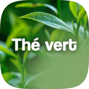 TheVertParfum