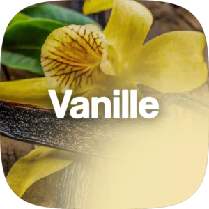 VanilleParfum