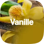 VanilleParfum